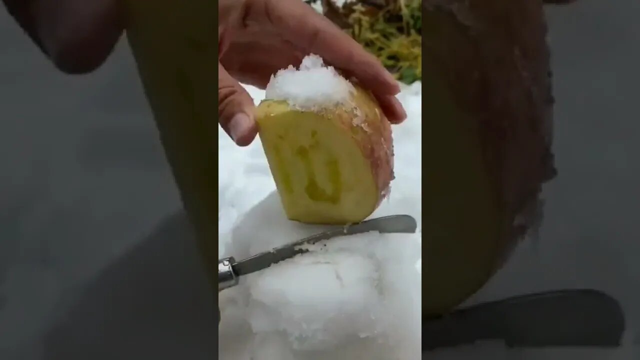 Is this considered ASMR / experiment subscription