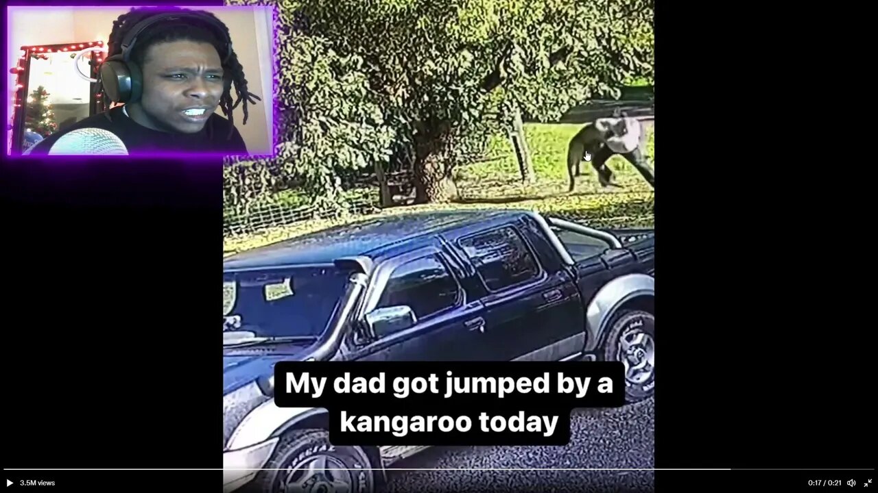 OLD Man gets JUMPED by a KANGAROO but Old Man FIGHTS Back! 🤺