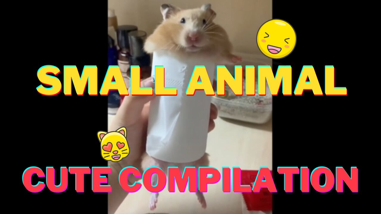 Cute Small Animals Compilation -- So Smol.....So Adorable