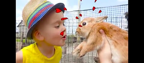 Funny animal's video