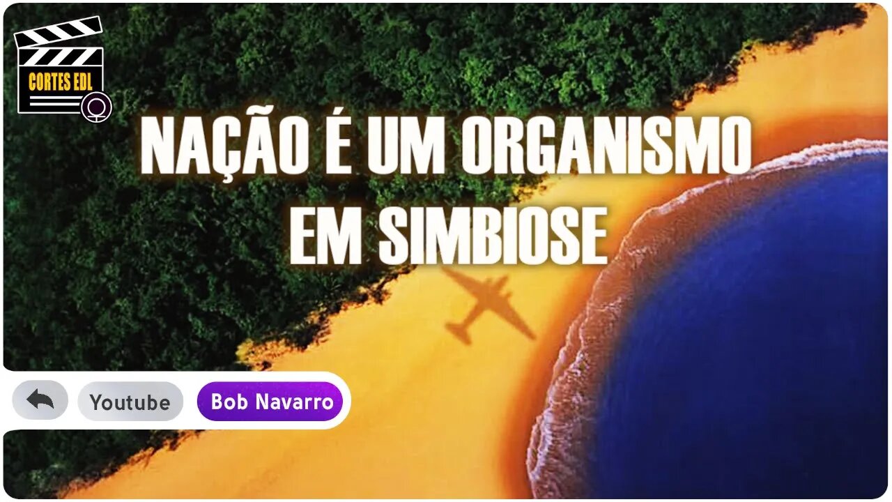 Pense nisso antes de concordar com a privatização das empresas brasileiras!