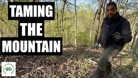 Breaking in a New Growth/Overgrown Forest
