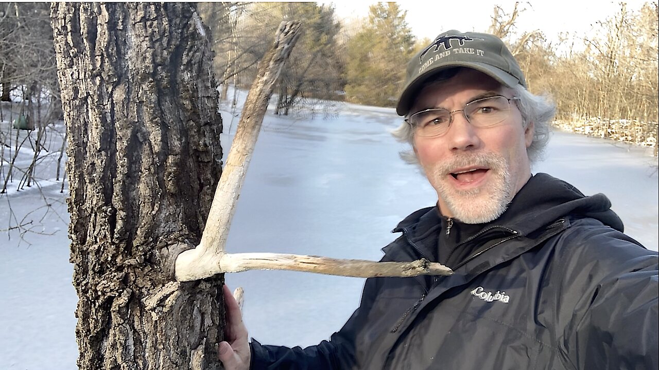 DEEP freeze in the South… Walking OVER the Fever Swamp — where no man has gone before!