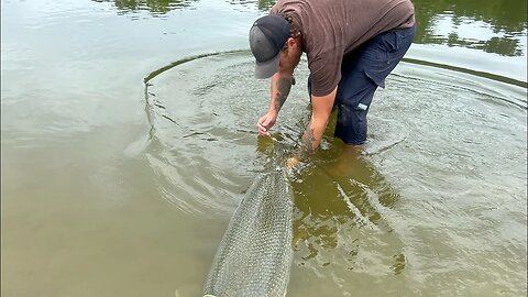 Tagging Alligator Gar In Texas 🦖