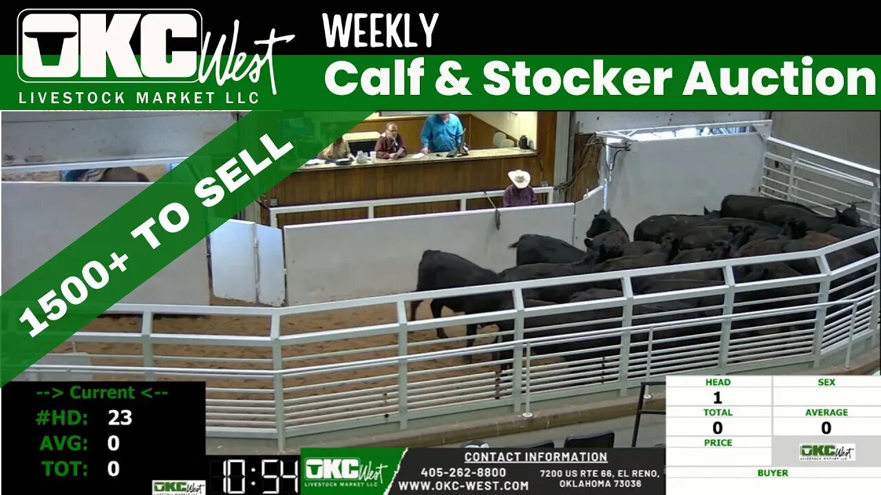 5/9/2023 - OKC West Calf and Stocker Auction