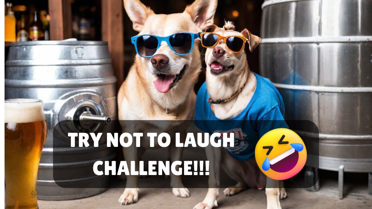 Fur-tastic Funnies: Laugh Out Loud with the Best Cat and Dog Videos!