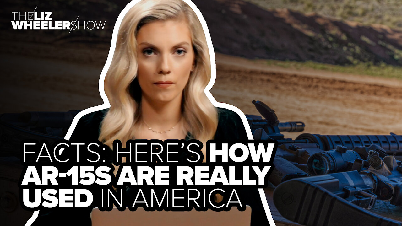 FACTS: Here's how AR-15s are really used in America