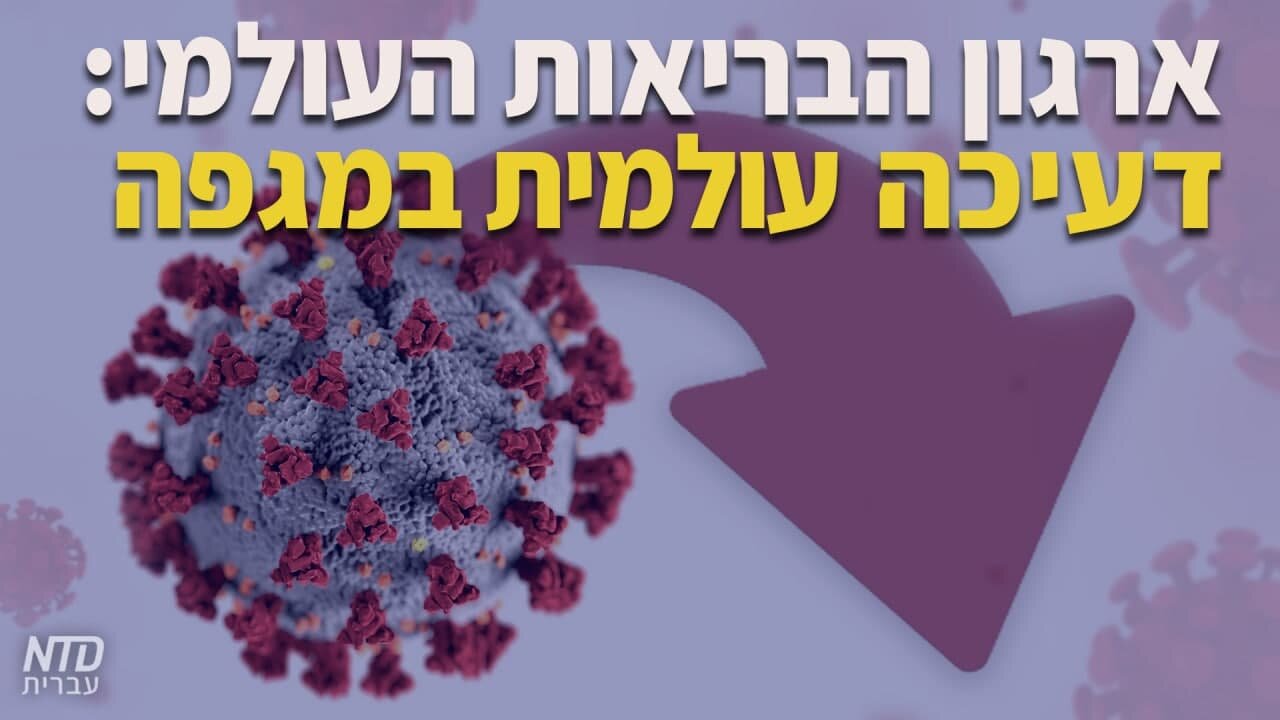 ארגון הבריאות העולמי: דעיכה עולמית במגפה בימים האחרונים