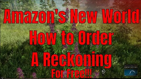 Amazon's New World Ordering A Reckoning For Free