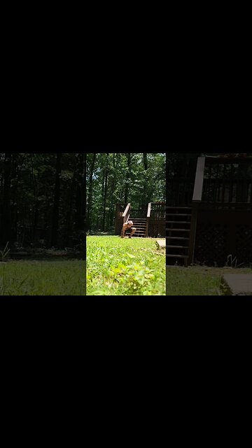 The Roofers in the background matched my cork right on beat