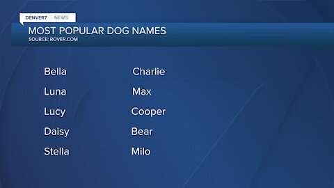 Most popular dogs names in Denver released