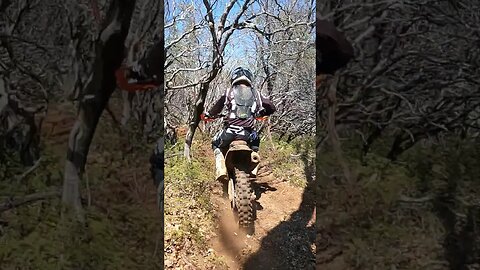 Wood Racing Sprint Enduro #short #racing 🏁🌲