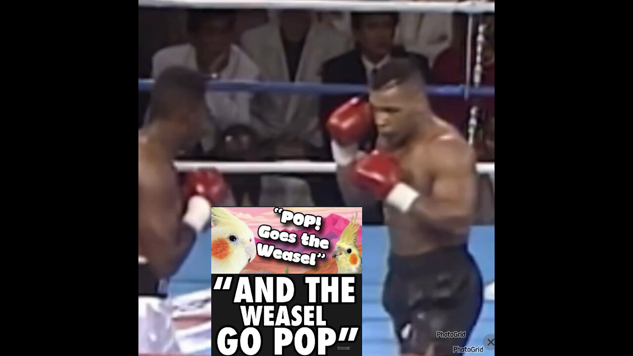 “POP GOES THE WEASEL”. Mike Tyson vs Jake Paul fight in Nexflix….