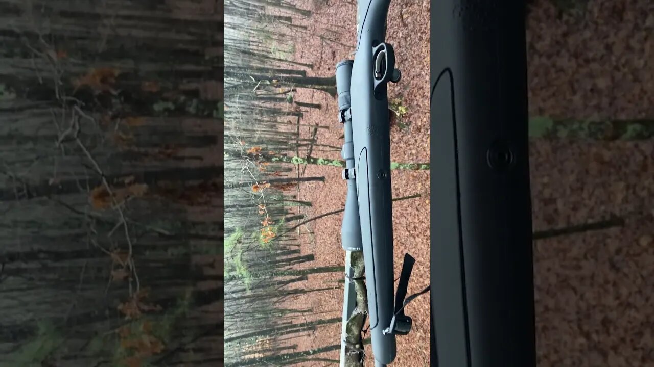 Did you see him !!!!!