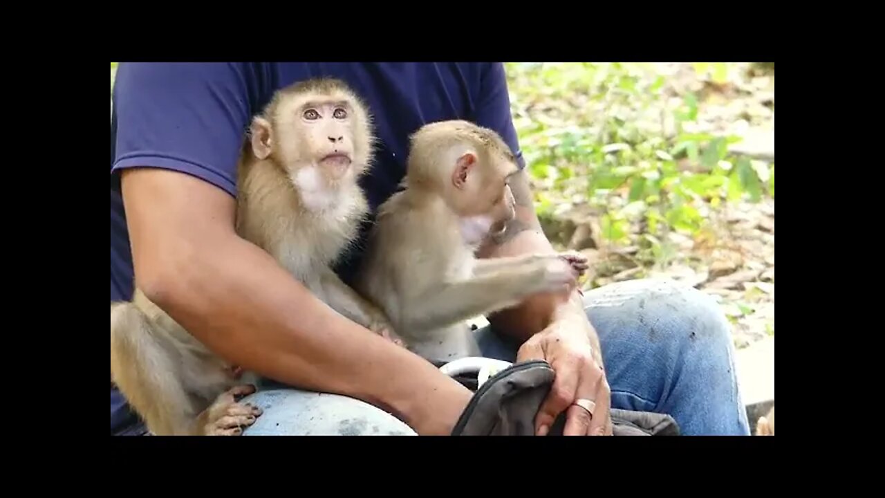 Thank You For Share Some Fruit To Poor Monkeys