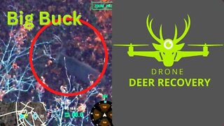 Drone Finds Another Giant Ohio Buck