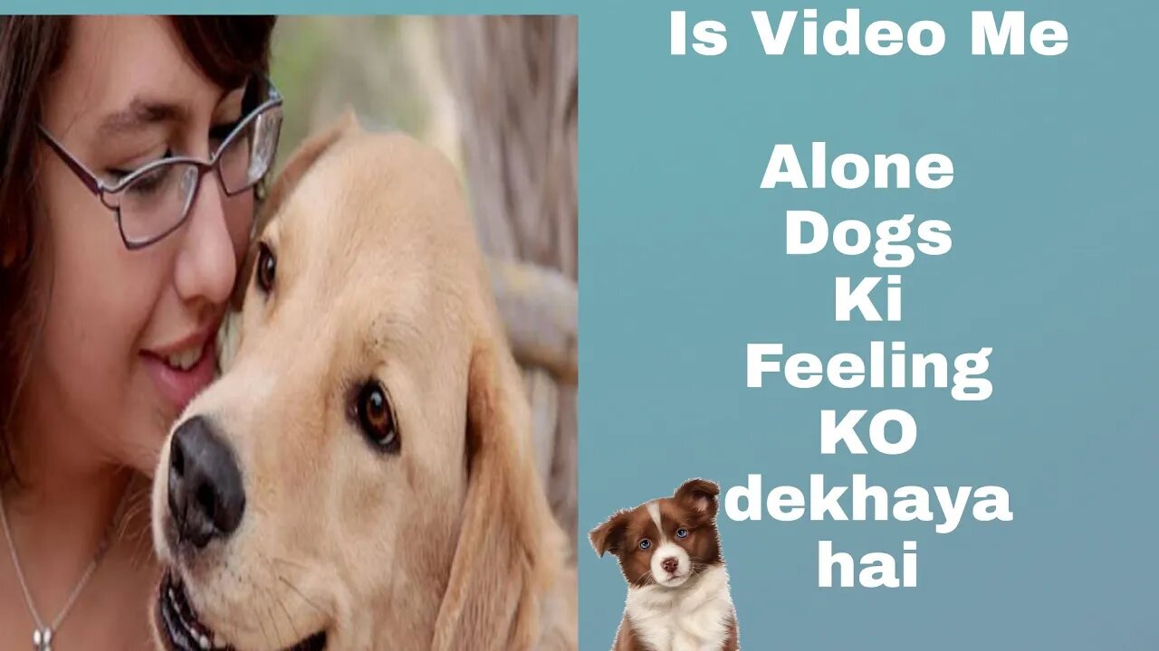 Alone Dogs feeling For Dog Lover