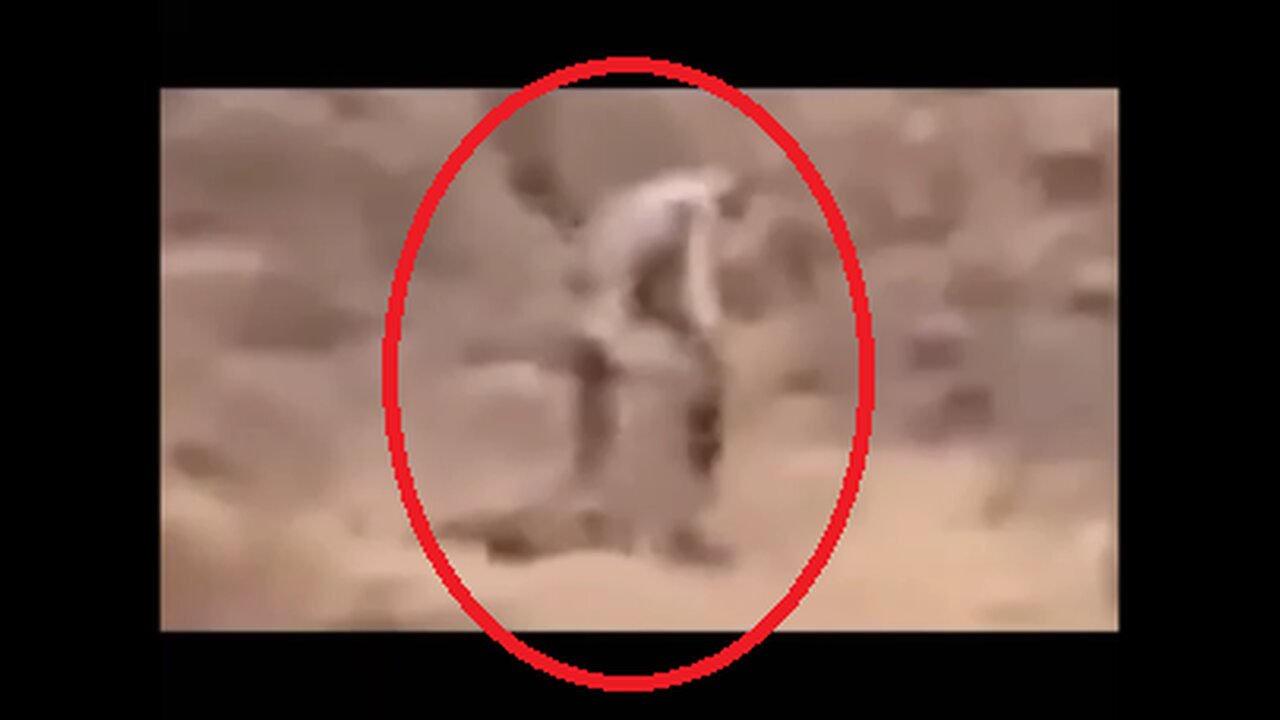 Aliens caught on camera? Aliens and UFOs?