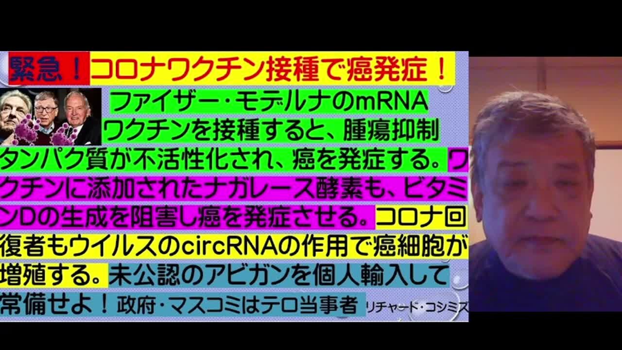 2021.10.30 リチャード・コシミズ新型コロナウイルス戦争３４９