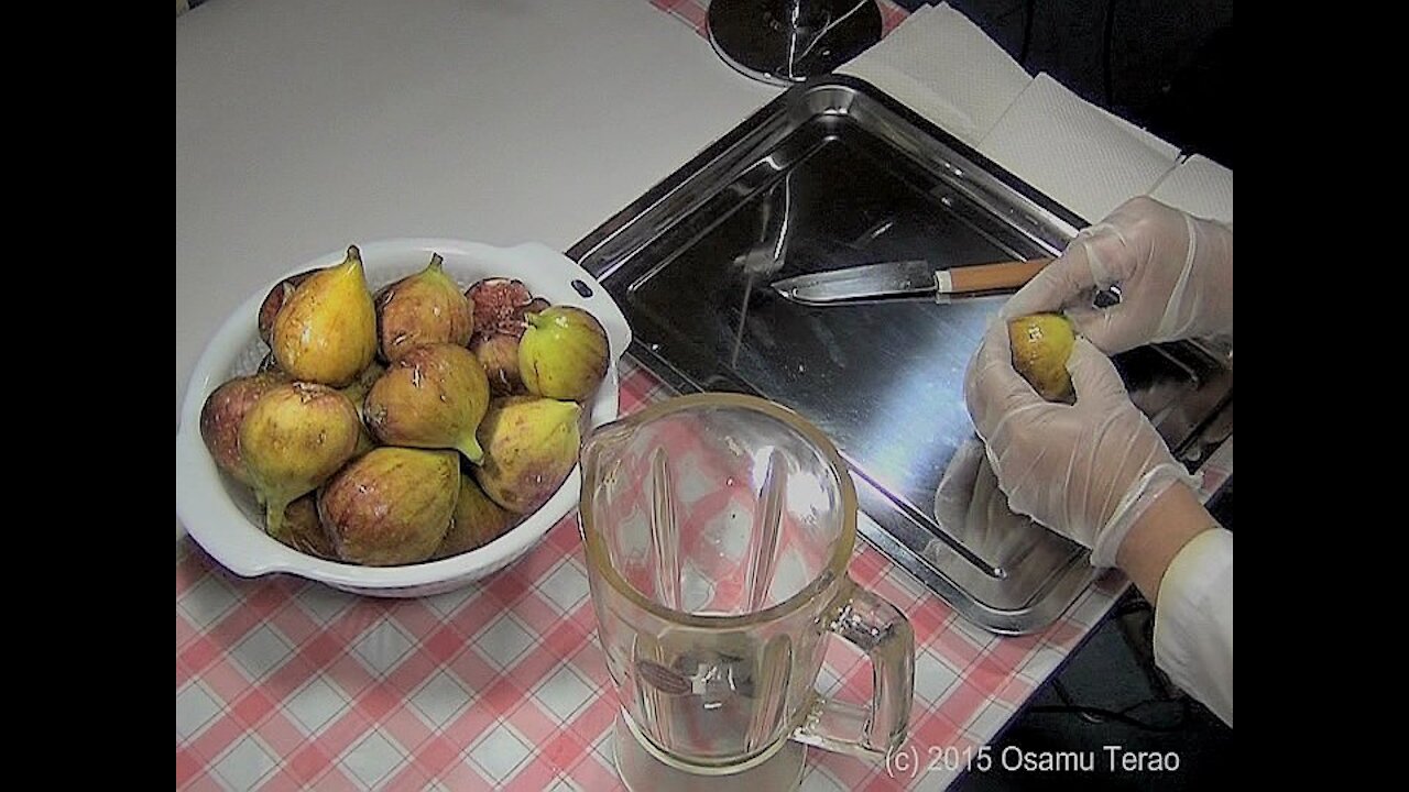 HOW TO MAKE FIG JELLY (In a way of Japanese)