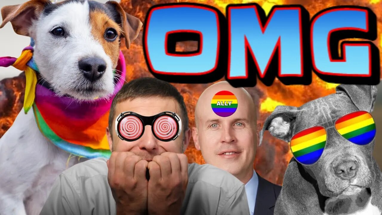 GET WOKE GO BROKE! Pet Smart Offers PRIDE MERCHANDISE For Puppies And Cats! NO ONE WANTS THIS!