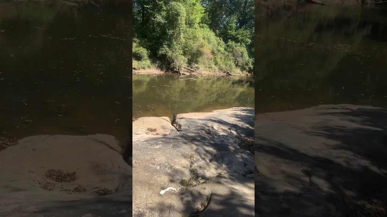 Good afternoon and happy Sunday! Fishing at the creek. #outdoors #fishing #nature