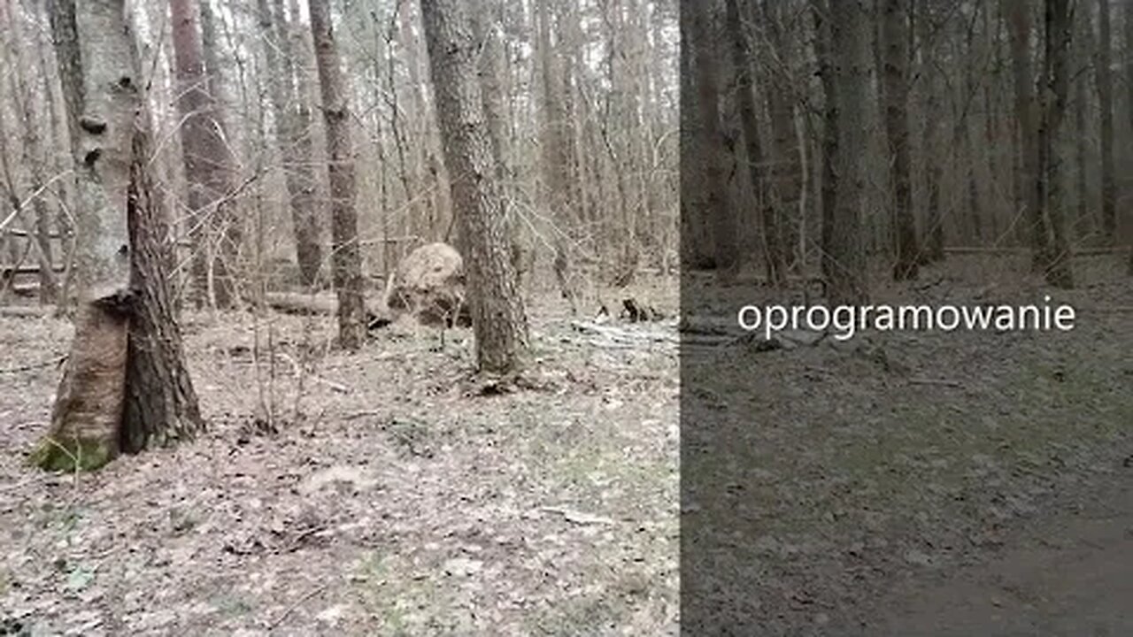 oprogramowanie