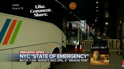 🚨 IMMIGRATION CRISIS: "BABYLON IS FINITO" 📉