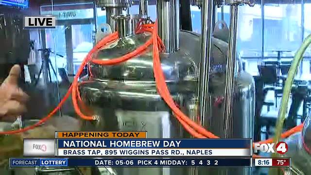 Celebrate National Homebrew Day