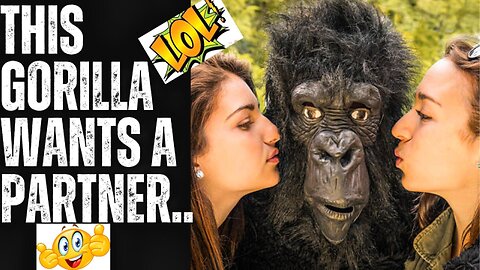 A Gorilla is URGENTLY in NEED Of some LOVE ❤ | 🤣 TOP Joke of the Day