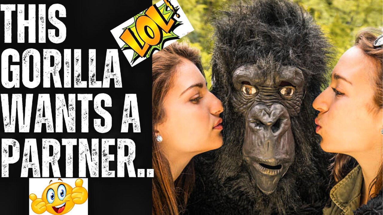 A Gorilla is URGENTLY in NEED Of some LOVE ❤ | 🤣 TOP Joke of the Day