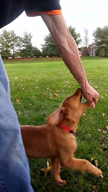 Mel was working hard for that lure!