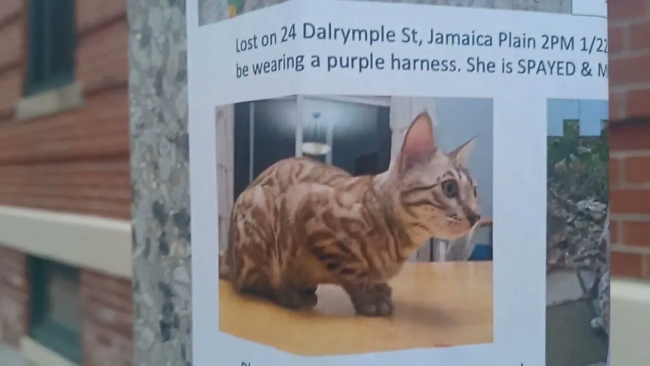 we have went through three administrations and Dixwell Street still has not been fixed properly