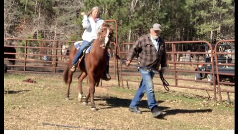 Colt training first time on his back Part 1