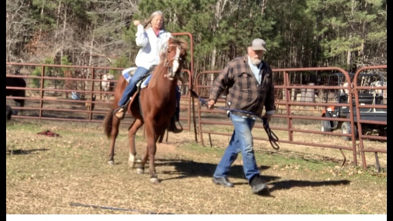 Colt training first time on his back Part 1