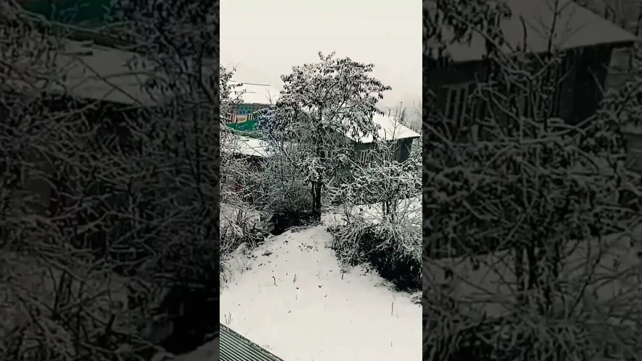 Live SnowFall in Kishtwar City #snow #snowfall #shorts #subscribe #jammu #kashmir #viral #winter