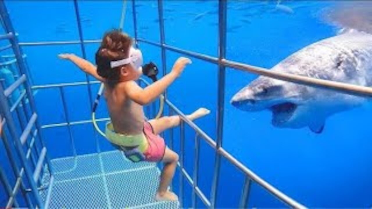 WOW!!! Funniest Moments Baby Meet Animals December- Funny Animals Reaction | baby shark doo doo