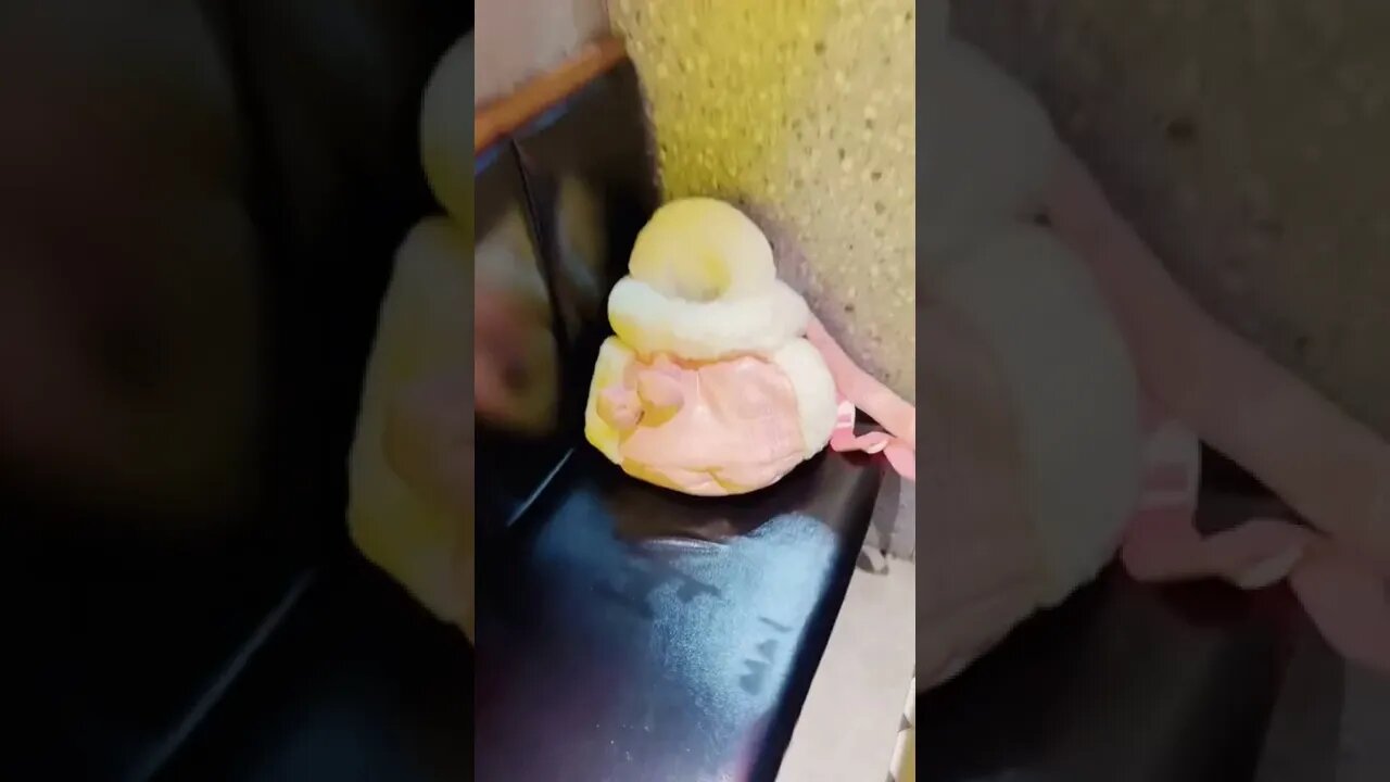 наши милые котики (4)