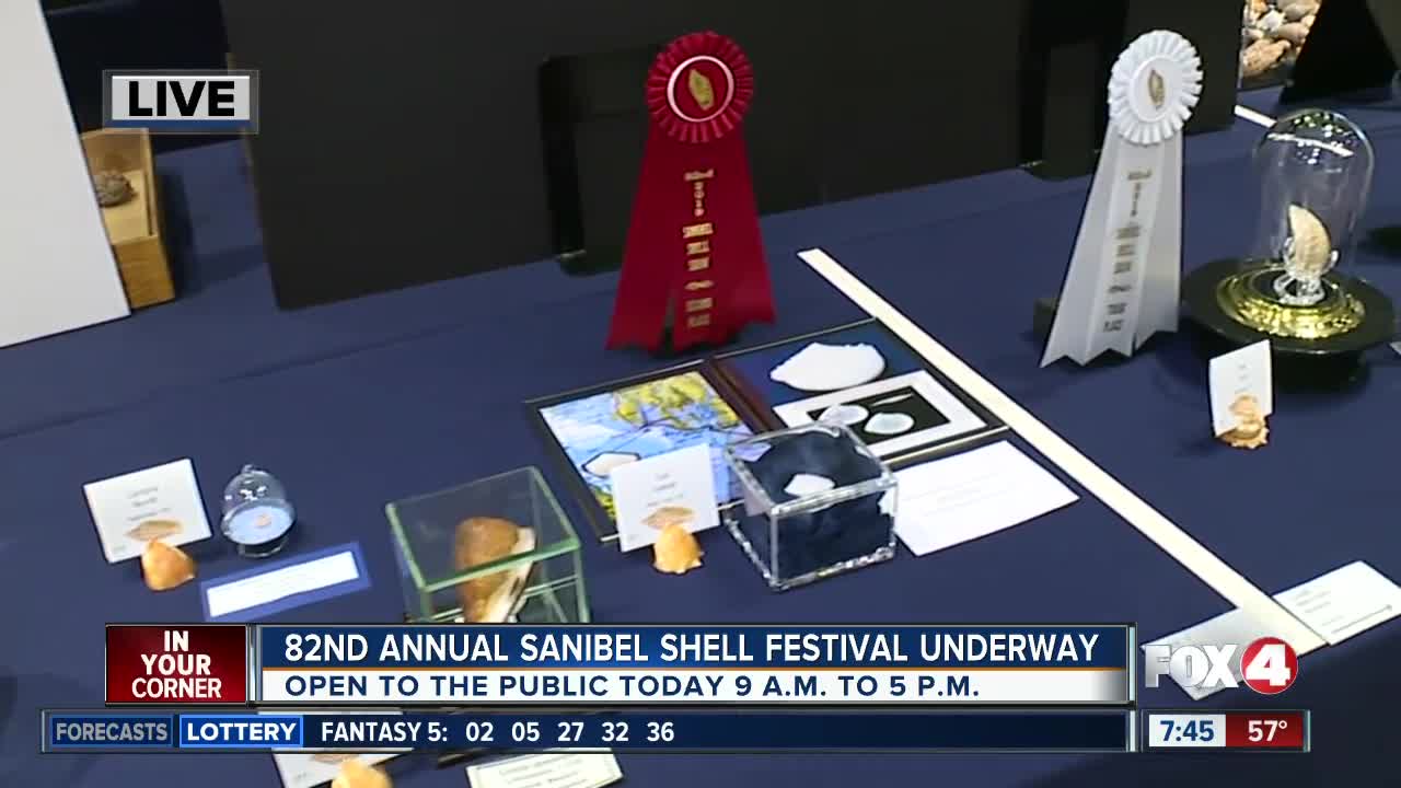 82nd Annual Sanibel Shell Festival