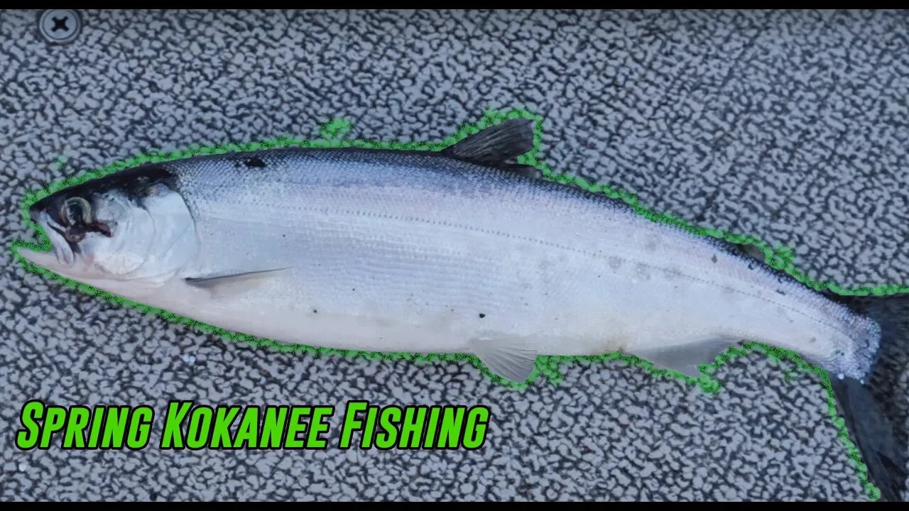 Lake FISHING Springtime Kokanee Fishing BEATDOWN | Addicted Life Ep. #38