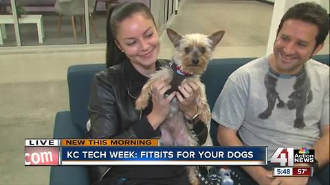 KC Tech Week: Fitness trackers for dogs