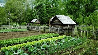 Haliburton Homesteaders. Local Issues. Marion Willemson. All About Bees!