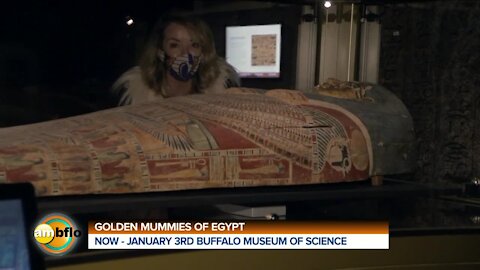 GOLDEN MUMMIES OF EGYPT EXHIBIT AT THE BUFFAL MUSEUM OF SCIENCE