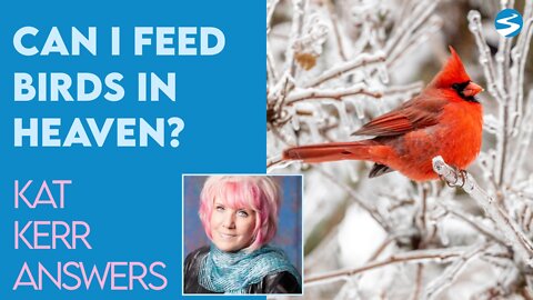 Kat Kerr: Can I Feed the Birds In Heaven? | Dec 22 2021