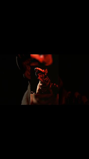 Rats In the Backrooms... #backrooms #shorts #funnymoments