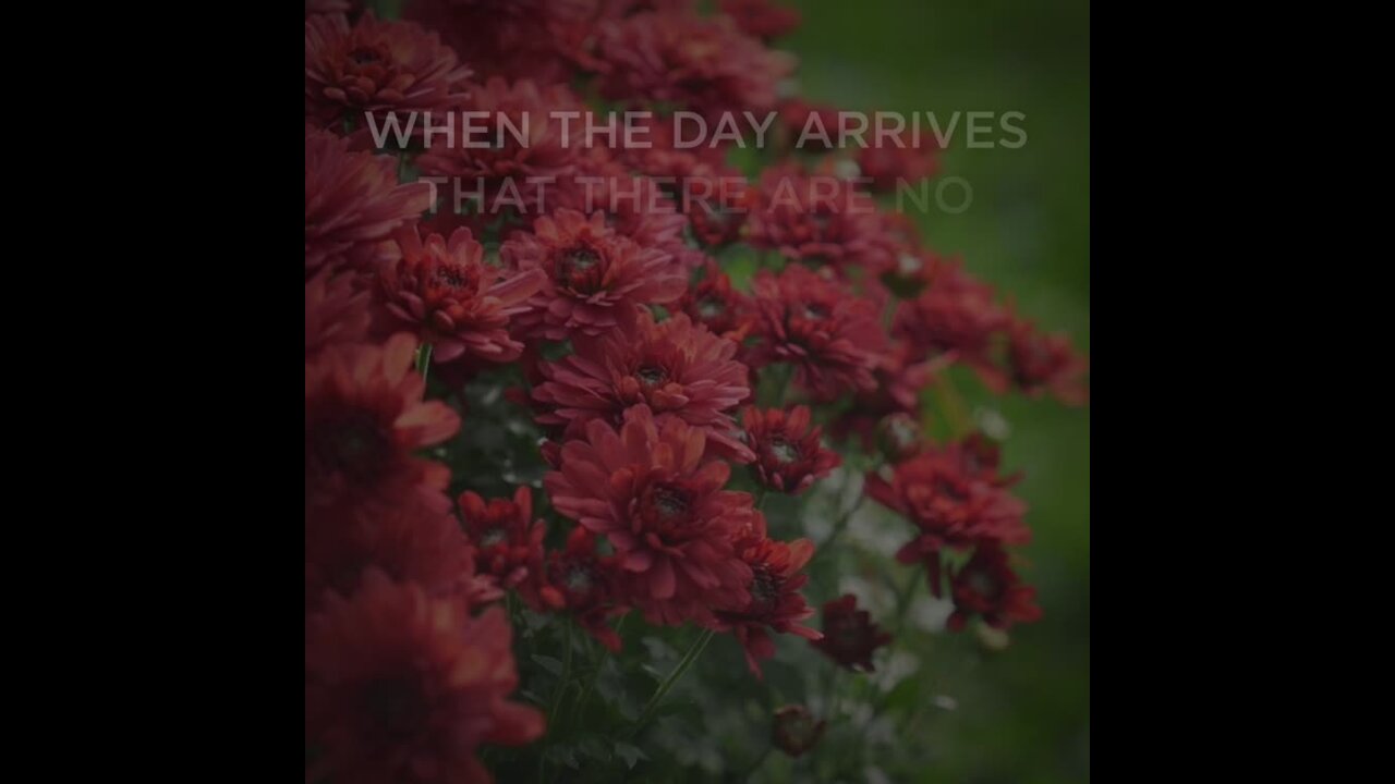 When the day arrives [GMG Originals]