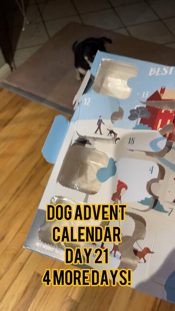 Himalayan Dog Chew 24 Joyful Days Dog Advent Calendar Day 21