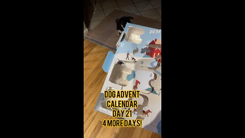 Himalayan Dog Chew 24 Joyful Days Dog Advent Calendar Day 21