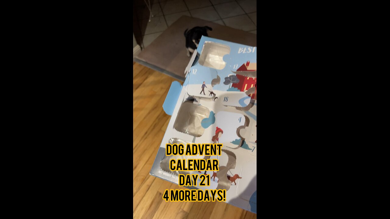 Himalayan Dog Chew 24 Joyful Days Dog Advent Calendar Day 21