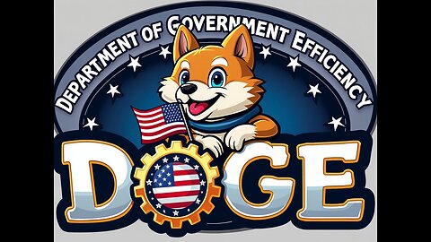 Department of Government Efficiency